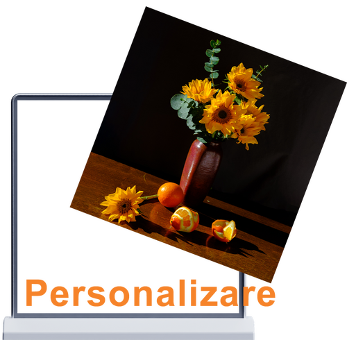 Panou publicitar LED stand A+