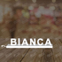 Cadou, decoratiune luminoasa seria magnetic baza BIANCA, 353.32x95mm, 6500K, abcMIX, K1490