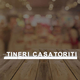 Decoratiune luminoasa evenimente seria magnetic Goliat TINERI CASATORITI, 6166x680mm, 6500K, abcMIX, K1315